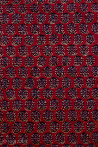 Saraband Carpet

12.2 X 16.0
3.71 X 4.87

In the iconic central Persian Saraband design, offset rows of floriated botehs decorate the red field while the equally  classic ivory border shows a faceted vine  ...