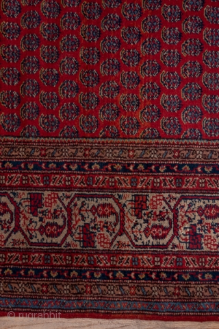 Saraband Carpet

12.2 X 16.0
3.71 X 4.87

In the iconic central Persian Saraband design, offset rows of floriated botehs decorate the red field while the equally  classic ivory border shows a faceted vine  ...