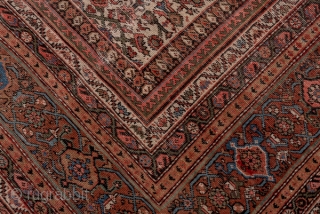 Mahal Carpet

13.6 x 18.0
4.14 x 5.48

The ivory field shows a small scale, close Herati allover pattern within a rosy brown turtle palmette border and minors patterned with two styles of boteh ornament.  ...