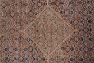 Mahal Carpet

9.8 x 12.9
2.98 x 3.93

The tan hexagonal field displays a variant on the Herati design, and the pattern continues into the diamond-shaped medallion and triangular corners. The abrashed brown border has  ...