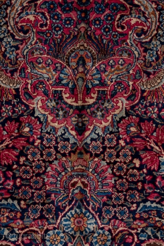 Kerman Carpet

8.10 x 17.0 
2.46 x 5.28
This top condition 1930's SE Persian urban carpet has a dark blue field covered with a fantgasy of palmettes radiating peacock  tails of floral sprays,  ...