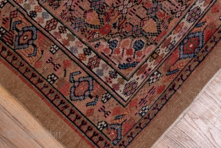 Hamadan Runner

2.9 x 17.6
0.88 x 5.36
 
This west Persian rustic runner shows several shades of camel toned  pile wool in the lattice and small repeating medallion field and in the plain  ...