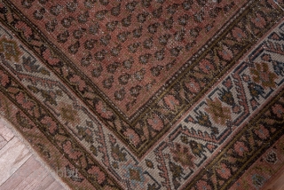 Malayer Carpet

6.0 x 13.2
1.82 x 4.02
The camel tone field displays a small boteh pattern reversing orientation row by row within a main ivory
border of a faceted, fringed vine and rosettes. The carpet  ...