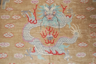 Tapis dragon Mongol XIXème , 345cmX315cm.                           