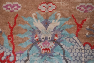 Tapis dragon Mongol XIXème , 345cmX315cm.                           