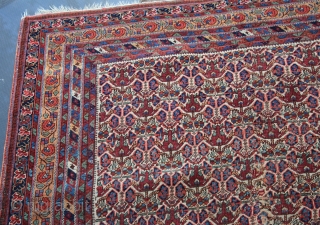 Wonderful antique afshar with rare floral design  finely woven  circa 1880, all dyes natural, original flat weave ends and original sides, in lovely condition ( ! old 5cm . 3repairs  ...