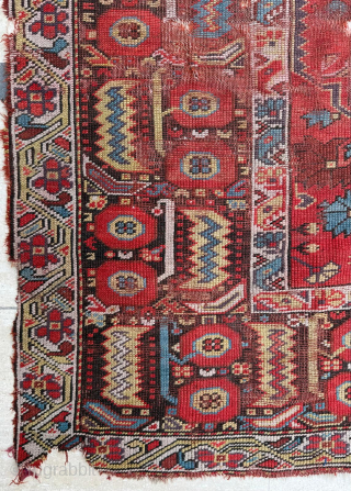 Melas Rug Circa 1860-1870 , Double Niche, size  128x210 cm. Please send me directly mail. 
emreaydin10@icloud.com

0090+ 544 374 10 98            