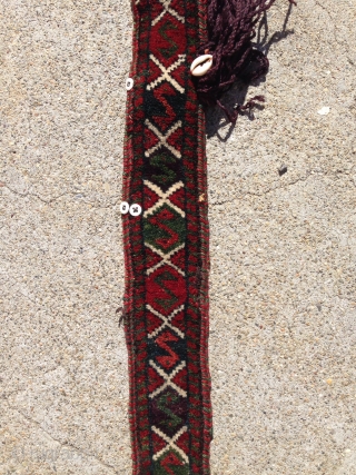 Baluchi trapping from the 1900 all natural colors.                         