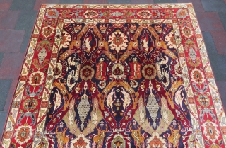Caucassian dragon carpet wonderful colors all original size 3,38x2,38 cm Circa 1940-1950                     