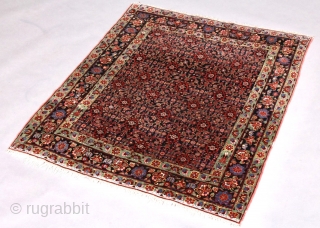 Persian Bidjar. In very good condition. 176 x 144 cm                       