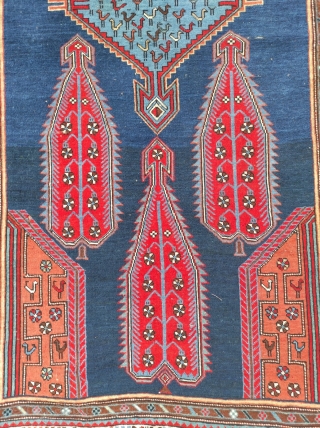 Caucasian Shıhlı Antique Rug 

Size : 135 x 225 cm 

Circa 1880s 

Please contact me directly : alpagutrugs@gmail.com               