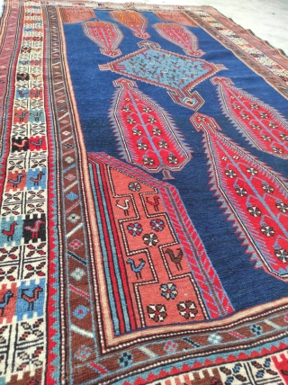 Caucasian Shıhlı Antique Rug 

Size : 135 x 225 cm 

Circa 1880s 

Please contact me directly : alpagutrugs@gmail.com               