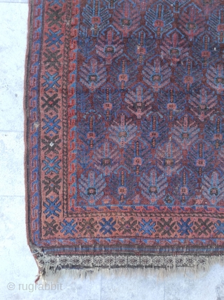 Beluch Rug 

Size : 95 x 140 cm 

Please contact me directly : alpagutrugs@gmail.com                   