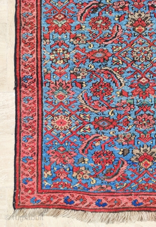 Bakshaish Rug 

Size : 111 x 205 cm 

Please reach me directly on this email : alpagutrugs@gmail.com                