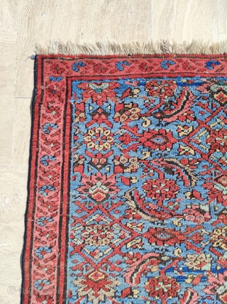 Bakshaish Rug 

Size : 111 x 205 cm 

Please reach me directly on this email : alpagutrugs@gmail.com                