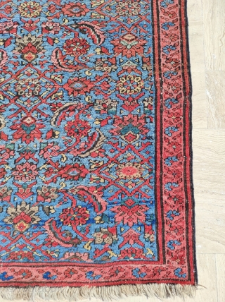 Bakshaish Rug 

Size : 111 x 205 cm 

Please reach me directly on this email : alpagutrugs@gmail.com                