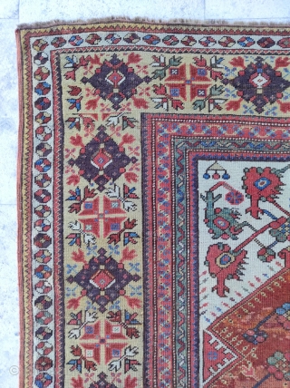 Milas Rug 

Size : 116 x 163 cm 

Please contact me directly on this email : alpagutrugs@gmail.com                