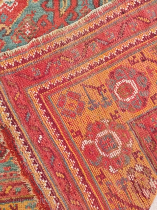 Oushak Carpet 

Size : 255 x 300 cm 

                        