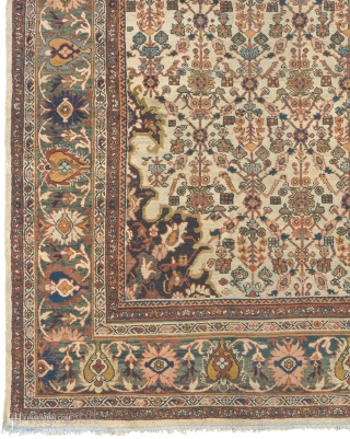 Antique Persian Sultanabad Rug
Persia ca.1900
14'0" x 11'3" (427 x 343 cm)
FJ Hakimian Reference #06148
                   