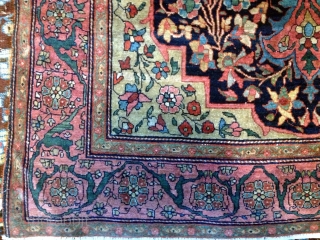 PERSIAN FERAGHAN FINE CARPET
FROM 1880'S
ENDS HAS 5 LINES MISSING BUT THE REST IS ALL ORIGINAL
AND IN PERFECT CONDITION
HAS NO WEAR,NO REPAIRS,NO TOUCH UP
PERFECT SHAPE         