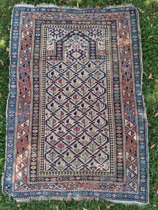 Late 19th century Shirvan prayer rug. 3'4" x 4'10". Has some old fuschine which is now grey. Beautiful colors. No holes, good pile, just the missing edges in some areas. Cheers.  