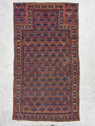 Symmetrical knotted dukhtar e qazi design Baluch prayer rug. Some cochineal, the only 4 ply wool on the piece. Natural dyes. Beautiful. 2'11" x 5'4".        