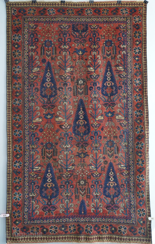 Antique Sistan Baluch rug with cotton warps and an Afshar design. 6'3" x 3'9" or 190 x 114cm. Please contact me at steven.malloch@gmail.com or gerrerugs@gmail.com for purchase or questions. Cheers.   