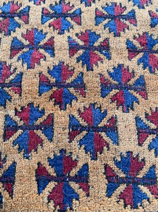 Antique, quite old, Baluch rug. Unusual large size undyed camel hair field. Love how the spacing of the leaves become more generous.   230 x 140cm or 7'7" x 4'8"  