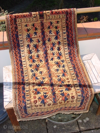 wonderful antique baluch prayer rug  , is has some small several repairs, due to old local mothbite, no stains, headends secured, flat lying
66x131cm
2.2x4.4ft         