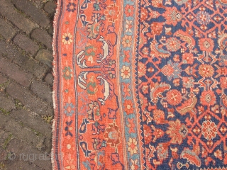 fabulous pre 1900 antique bidjar rug , all wool!!! superbe natural colors, complete headends, no stains, no tears, no holes, no repairs           