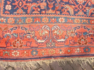 fabulous pre 1900 antique bidjar rug , all wool!!! superbe natural colors, complete headends, no stains, no tears, no holes, no repairs           