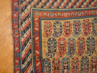 wonderful wool quality, gendjeh ca 1900, great yellow ground, great natural colors, complete original headends, selvedges cut and secured, no stains, no repairs, in a small area some foundation visible, no holes,  ...