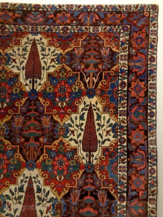 Fine Bachtiar
Size: 142x212cm (4.7x7.1ft)
Natural colors, made in circa 1910, the selvages and headends are not original, one stitch at the left selvage.           