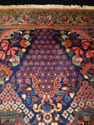 Bachtiar
Size: 149x198cm (5.0x6.6ft)
natural colors, very good condition, made in circa 1920                      