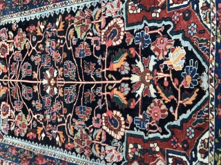 Bakhtiyari rug wool on wool 1880 circa all good colors in perfect condition•••size200x150cm                    