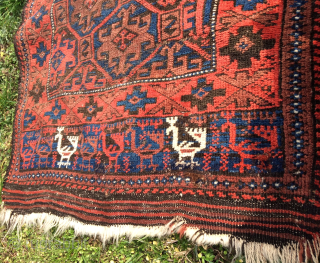 Antique Baluch bird rug,great wool and colors.1880 circa size135x73-pleas inquire for more images                    