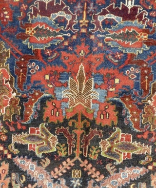 old Persian Chahat mahal Bakhtiyari rug,size 190x145cm perfect condition.                        