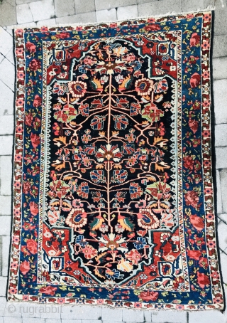 Bakhtiyari rug wool on wool 1880 circa all good colors in perfect condition•••size200x150cm                    