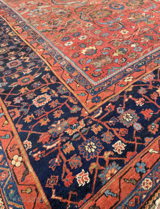 Circa 1880 Sultanabad pre-Ziegler carpet. Size :480 x 320 cm. Please contact via directly on e-mail or WhatsApp. halilaalan@gmail.com // +90 534 330 38 48        