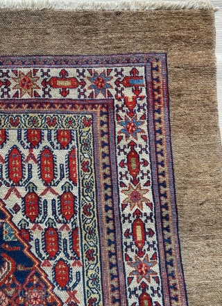 Persian Sarab Carpet Circa 1880 Size: 215x355 cm                         