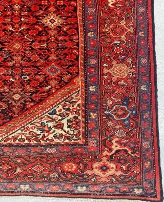 19th Century Melayer Carpet Size: 210x400 cm                          