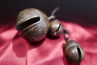 
Antique Cow and Goat Bells from Laos;  brass;  19th c.
Lovely brass bells with a wonderful patina and satin-like surface proving their age and much handling.  19th c.  Acquired  ...