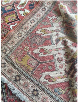 Antique caucasian Armenai kazak tchalabert eagle carpet circa 1900 size 207x135cm                      