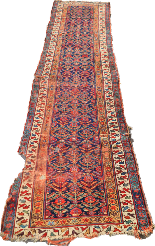 Size:100x380cm ,
Kurdish carpet .
                             