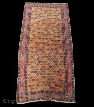 Caucasian Shirvan Rug, 194x97 cm (6x3.3 ft), 19th Century.                        