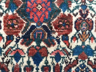 Zil-i-Sultan rug in practically mint condition, with lustrous thick pile. Mid-20th Century, 200 x 150cm/ 6'7 x 4'11.               