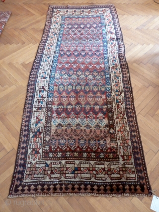 A Moghan Kurdish rug, c. 1900, with excellent long wool and lively boteh design. 271 x 110 cm               