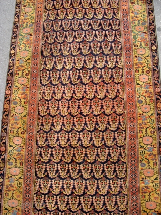 Fabulous quality Antique North West Persian runner circa 1860. 5m x .95m or 16'3" x 3'2". The best quality of wool, soft and glossy yet prickly to the touch when brushed against  ...
