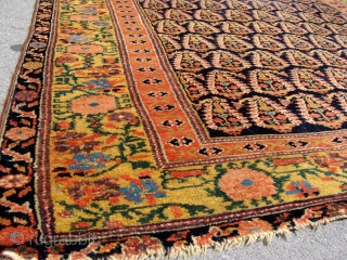 Fabulous quality Antique North West Persian runner circa 1860. 5m x .95m or 16'3" x 3'2". The best quality of wool, soft and glossy yet prickly to the touch when brushed against  ...