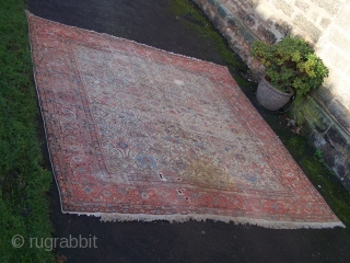 Ferraghan carpet- one of a couple of pieces I have recently acquired from an old country house in the North-East of England, though living where I do the sun doesn't reach the  ...